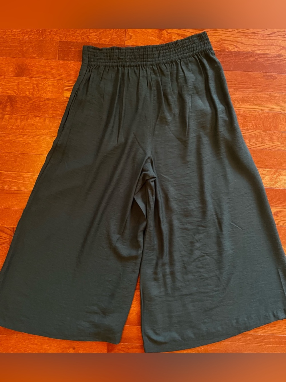 Anthropologie Wide-Leg High-Waist Button Front Pants in Deep Teal - Picture 9 of 13